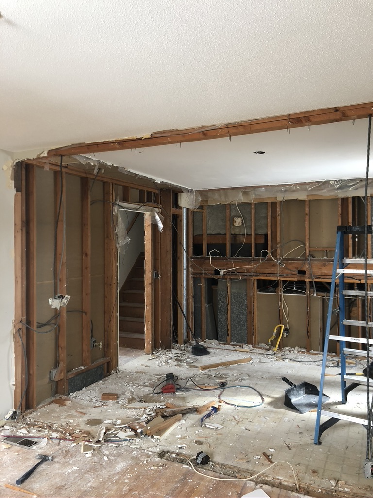 Mid-Renovation Update: Demo to Drywall! - Sima Spaces