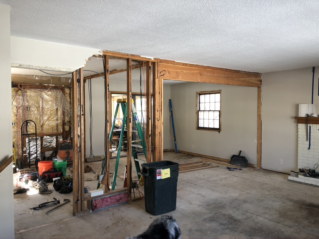 Mid-Renovation Update: Demo to Drywall! - Sima Spaces